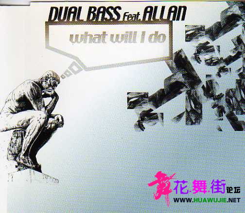 00-dual_bass_feat._allan_-_what_will_i_do-web-2000-cover-ergou.jpeg