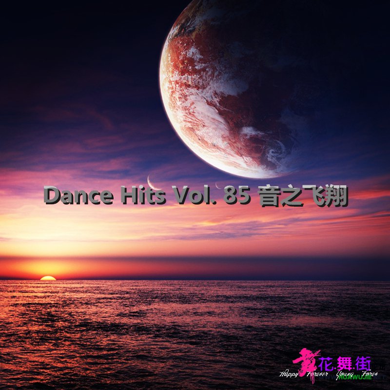 Dance Hits Vol. 85 ֮.jpg
