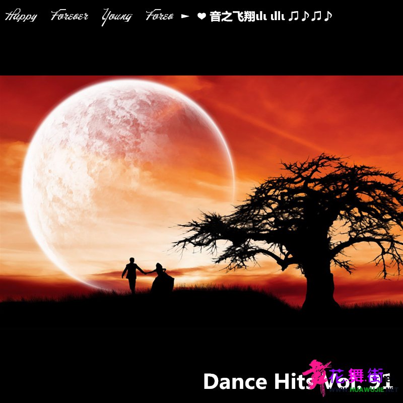 Dance Hits Vol. 91 ֮.jpg