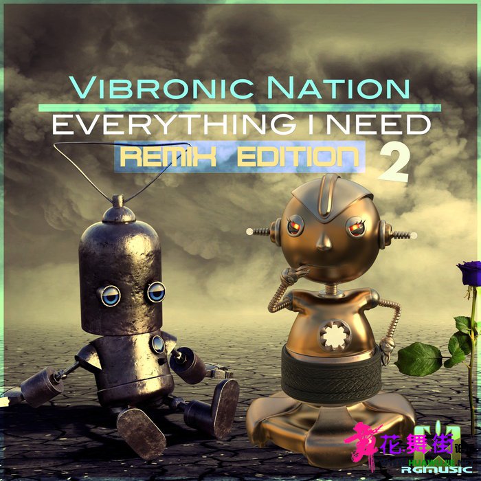 00-vibronic_nation_feat_debbiah_-_everything_i_need_(remix_edition_2)-(406170753.jpg