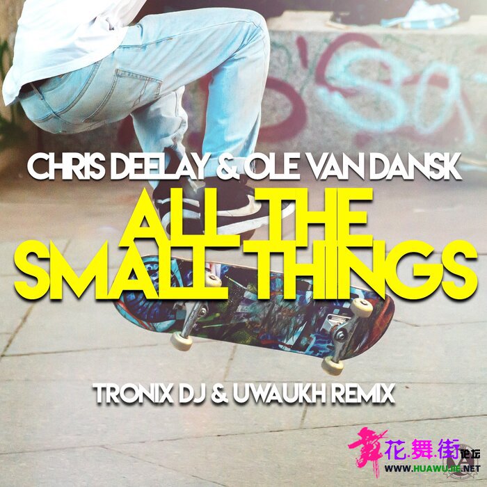 00-chris_deelay_and_ole_van_dansk_-_all_the_small_things_(tronix_dj_and_uwaukh_r.jpg