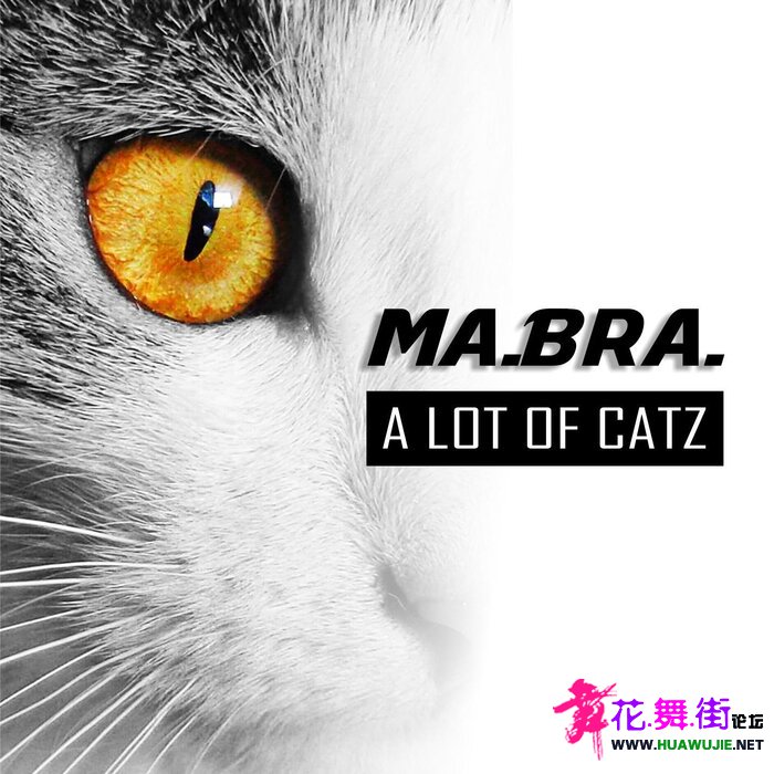 00-mabra_-_a_lot_of_catz_(remix)-(3616556426415)-single-web-2021-pic-zzzz.jpg
