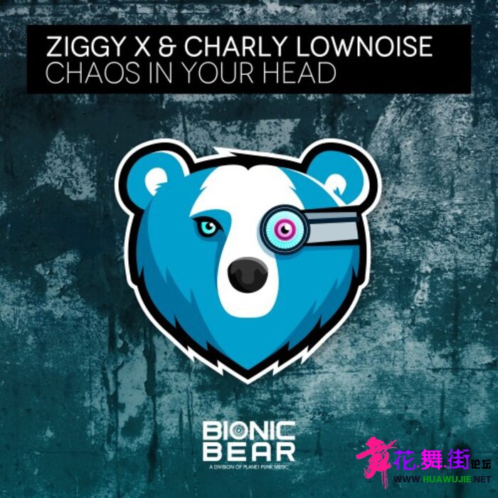 00-ziggy_x_and_charly_lownoise_-_chaos_in_your_head-(bio054)-web-2022-pic-zzzz.jpg