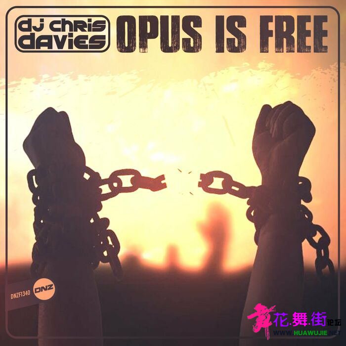 00-dj_chris_davies--opus_is_free-(dnzf1340)-single-web-2022-oma_ͼ.jpg
