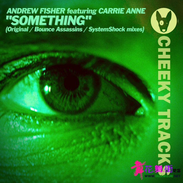 00-andrew_fisher_feat_carrie_anne_-_something-(cheek564)-web-2022-pic-zzzz.jpg