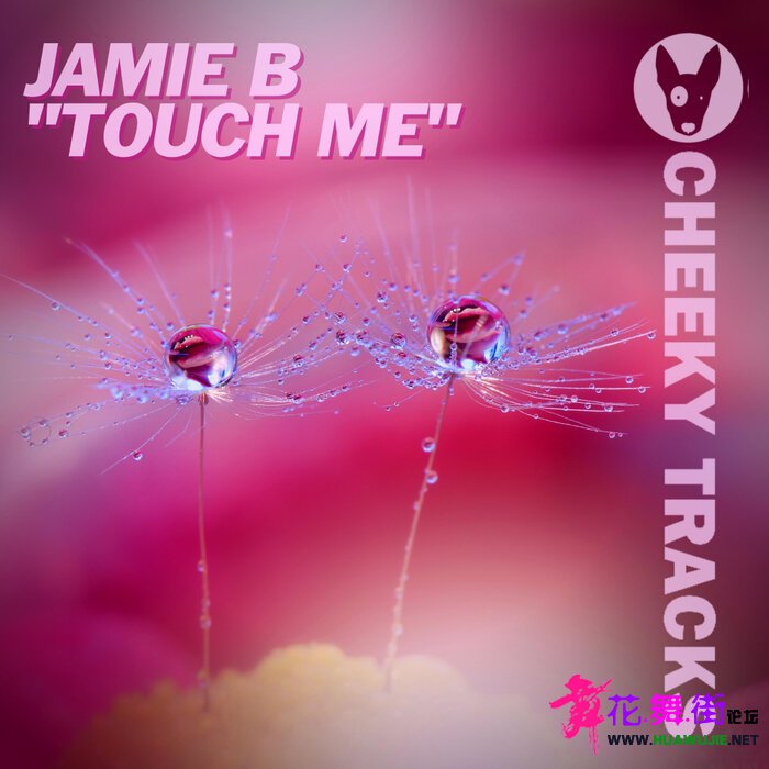 00-jamie_b_-_touch_me-(cheek587a)-web-2022-pic-zzzz.jpg