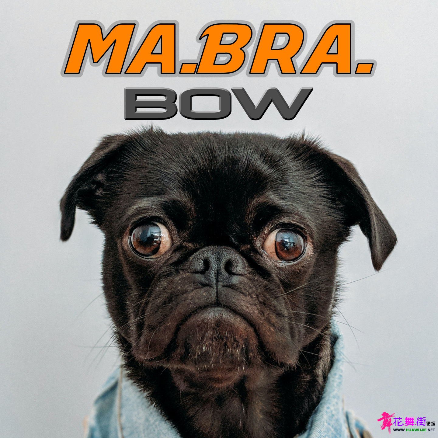 00_ma.bra._-_bow-single-web-2023-idc_��ͼ��.jpg