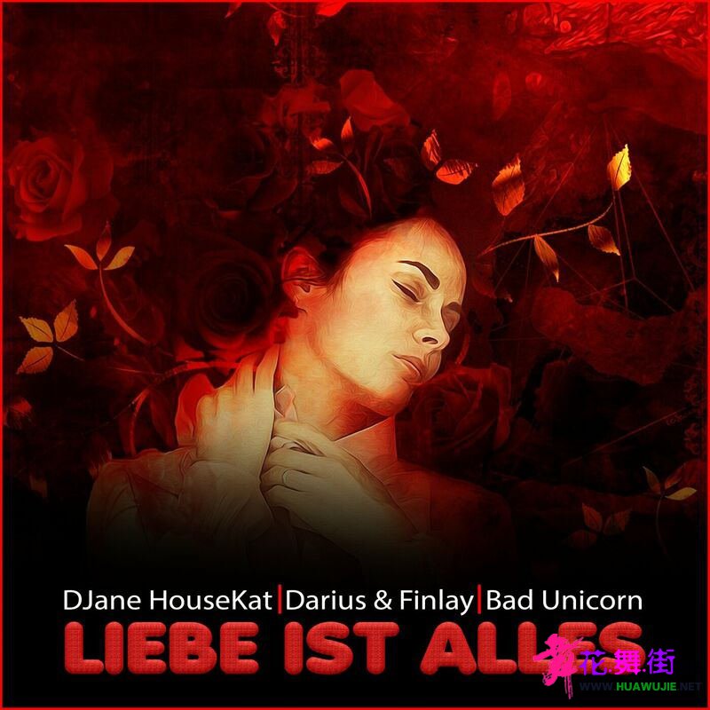 00-djane_housekat_x_darius_and_finlay_x_bad_unicorn_-_liebe_ist_alles-single-web.jpg