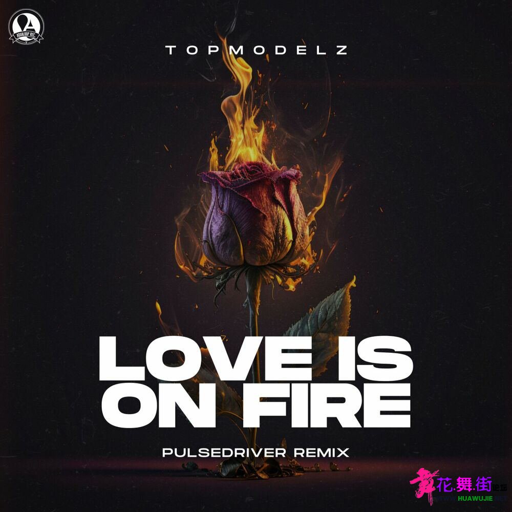 00-topmodelz_-_love_is_on_fire_(pulsedriver_remix)-(aql501)-web-2023-pic-zzzz_��ͼ��.jpg