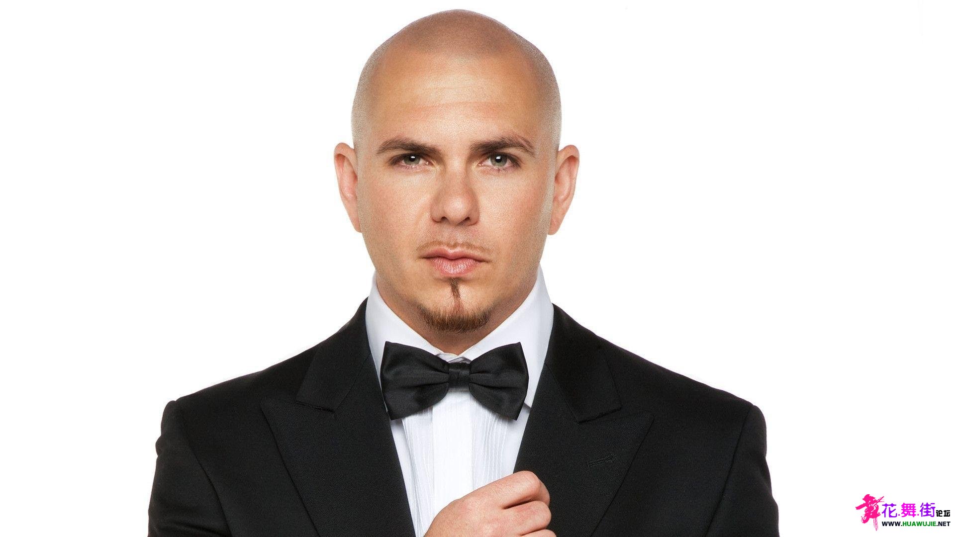 Pitbull.jpg